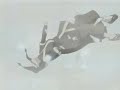 Haku-Zabuza Tribute - In The End