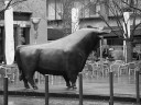 frankurt - after work -