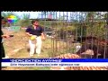 ?ile Hayvanat Bah�esi Show Tv Haberleri