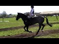 XC training Boomerang stables Libby + Sammy 15/03/09