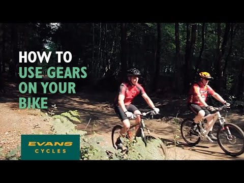 evans cycles evans cycles