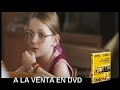 Cinexesos tv 8