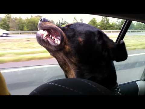 how to trip out at home