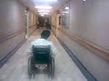 Choco en silla de ruedas