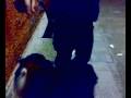 Wollo rulez