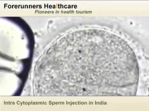 how to cure sperm dna fragmentation