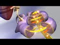 3DClinic showreel