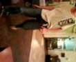 hotel night at 2:30 having fun
