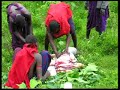Maasai Butchering a Goat 3 Maasai Butchering a Goat 3