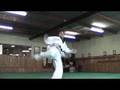 RYAN MULLER TKD KICKING
