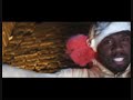 50cent-ok your right