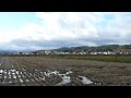 キハ５８系　こがね　米坂線　中郡～羽前小松間　09年11月18日