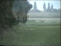 rabbit shooting s410 and .22