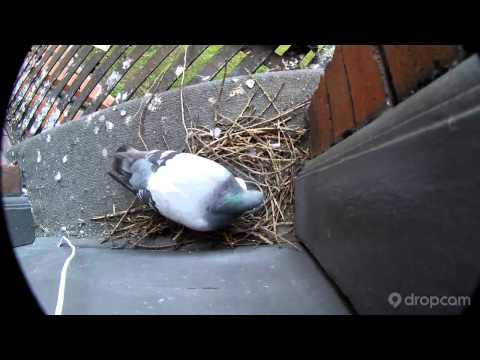 how to adjust night shift