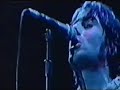 oasis   champagne supernova  knebworth park 11 08 1996 
