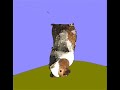 Guinea Pig Adventure