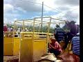 Carreras de caballos