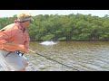 Tarpon Time - MONSTER fish on plugs