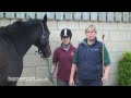 How to measure and weigh a horse