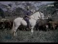 Comercial de Renny Ottolina con Vacas (1975)