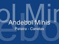 Andebol Minis - Pateira - Canelas