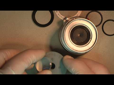 how to remove fungus lens