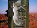 wildfire- michael martin murphey