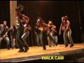 TOTAL-DOMINATION-WAL