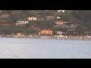 The Hippy Gourmet TV Show: Episode 75