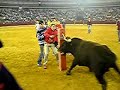 Toro embolado ZGZ 05 (1)