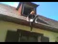 Saut de 3 mètres