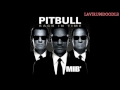 Pitbull – Back in Time instrumental