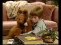 Alf