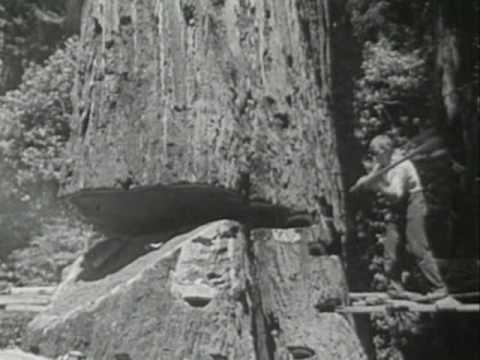 (1947) -
