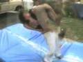 MWA Revenge Highlight Music Video MWA Revenge Highlight Music Video