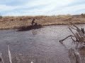 800 Outlander in the Swamp 800 Outlander in the Swamp