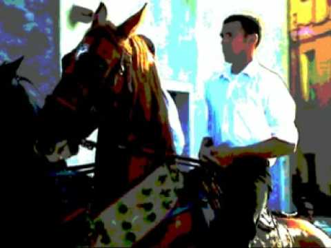 Scritti Sardi: San Gavino  e I Cavalieri