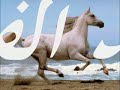 الأمير خالد الفيصل قصيدة احذر عدوك .flv