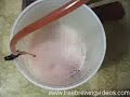 Racking (transfer) raspberry ale between fermenter and keg to clarify