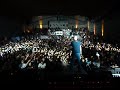Infected Tijuana