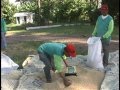 Click to View : Sun Drying Rice Grains (English)