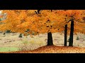 Golden Autumn [Raul Di Blasio - Nuestro Poema]