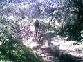 videos de Atravesando Rio D´ouro