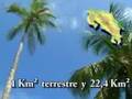 Ver video