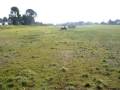 tor vergata quad vs macchinetta scoppio vs macchinetta elettrica tor vergata quad vs macchinetta scoppio vs macchinetta elettrica