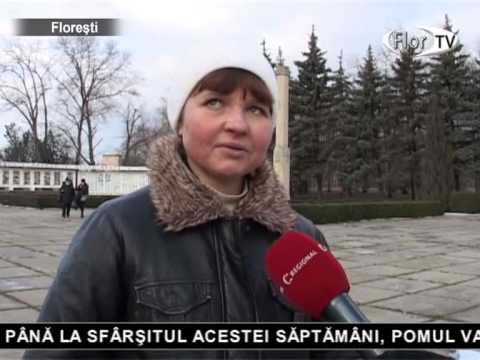 Este instalat pomul principal al orașului