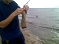 super pescado