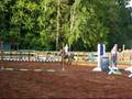 videos de emma jumping Bentley #1