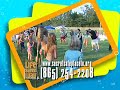 2009 Lifesaver Luau REVISED