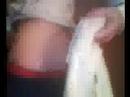 cheeko get stapled in the ass lol